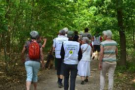 Wandelen is een uitstekende en aanbevolen sport voor senioren !