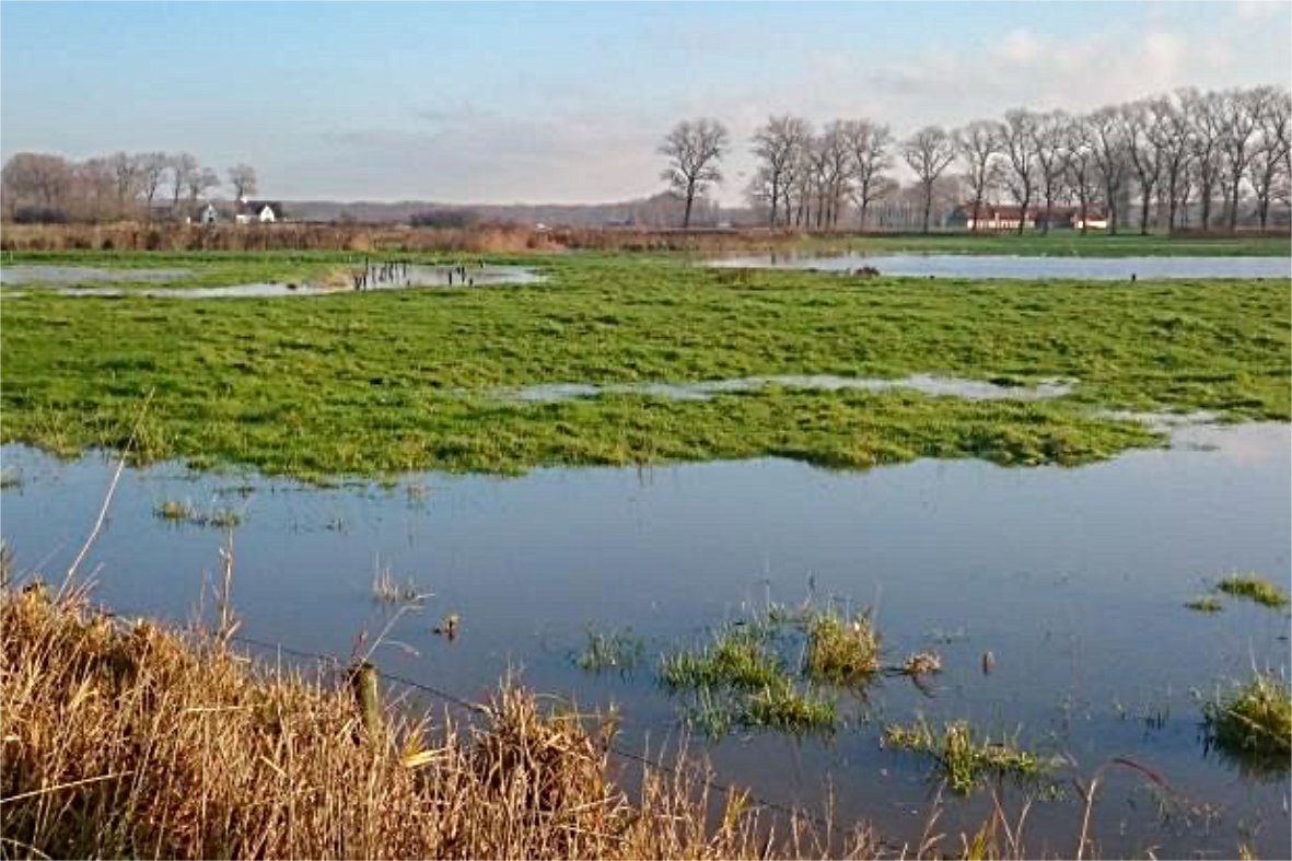 De Wulgenbroeken Oostkamp