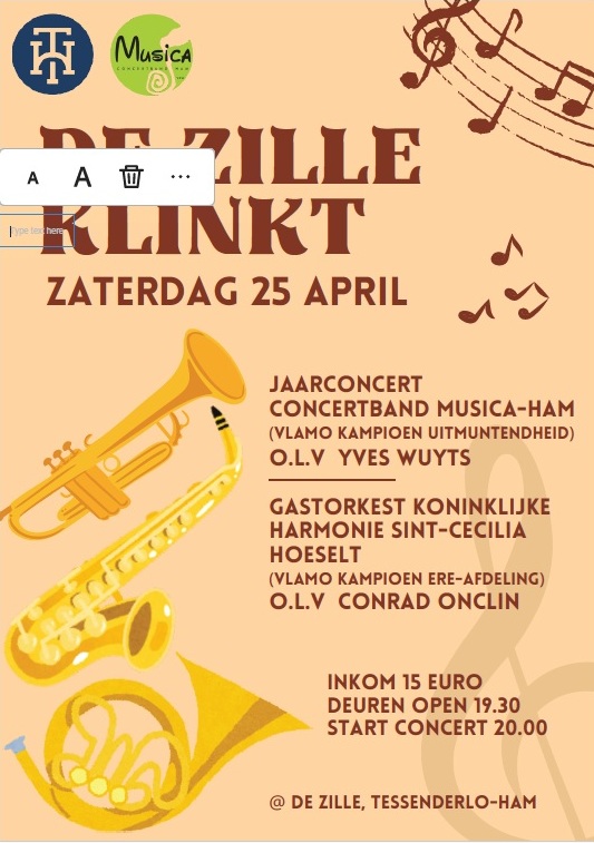 affiche "De Zille klinkt"