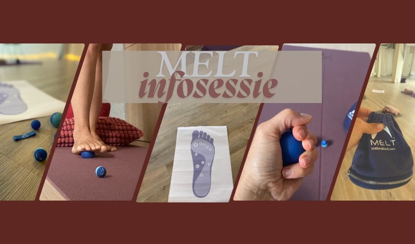 MELT infosessie