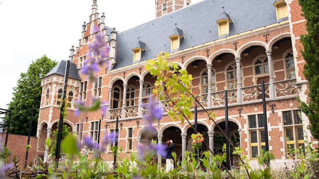Het 16e eeuwse stadspaleis waar Museum Hof van Busleyden gevestigd is.
