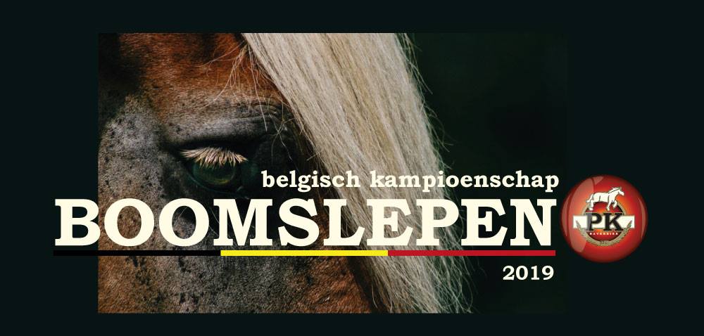 Kampioenschap Boomslepen 2019