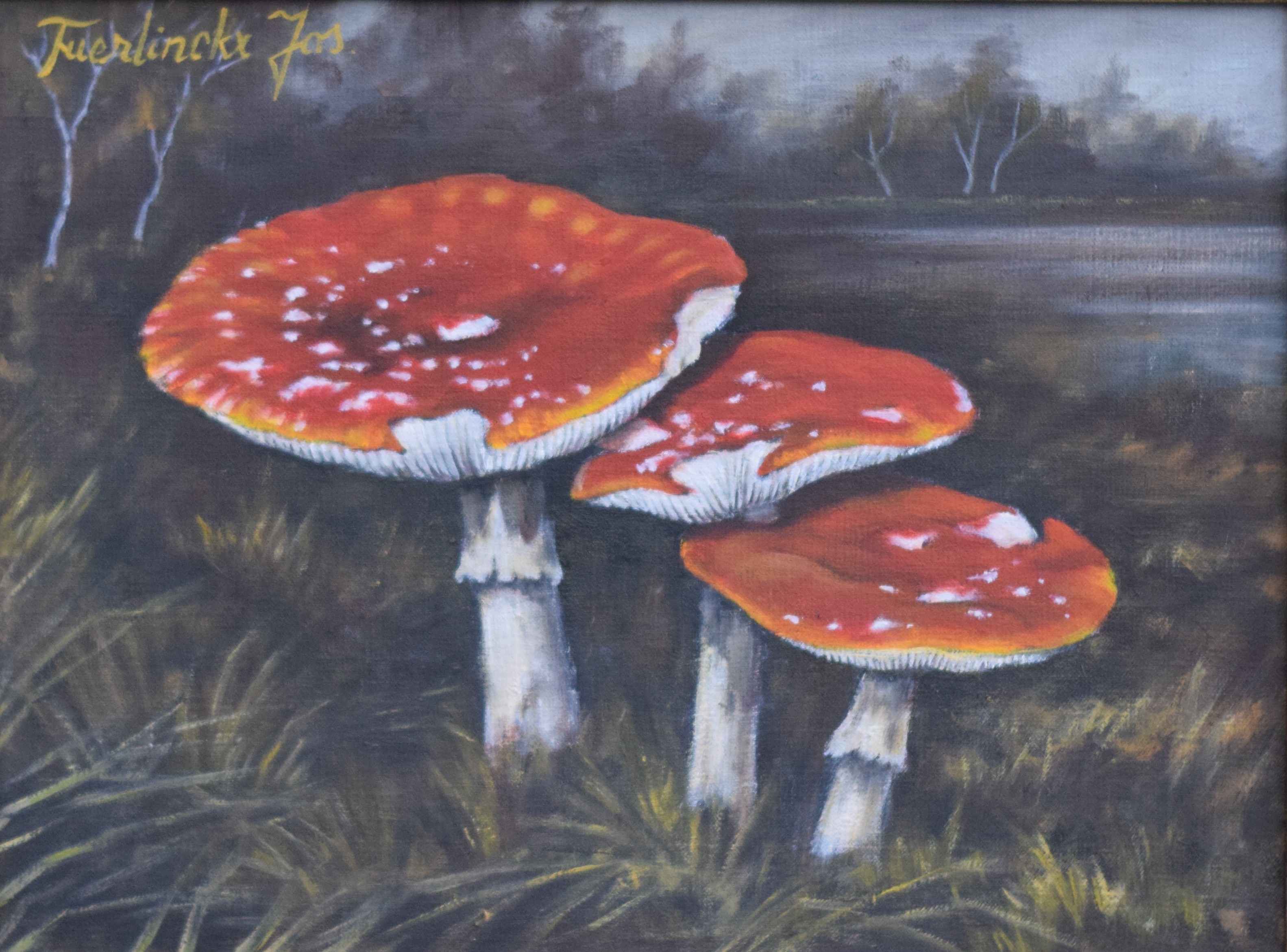 Expositie ODE AAN DE PADDENSTOEL van Jos Tuerlinckx