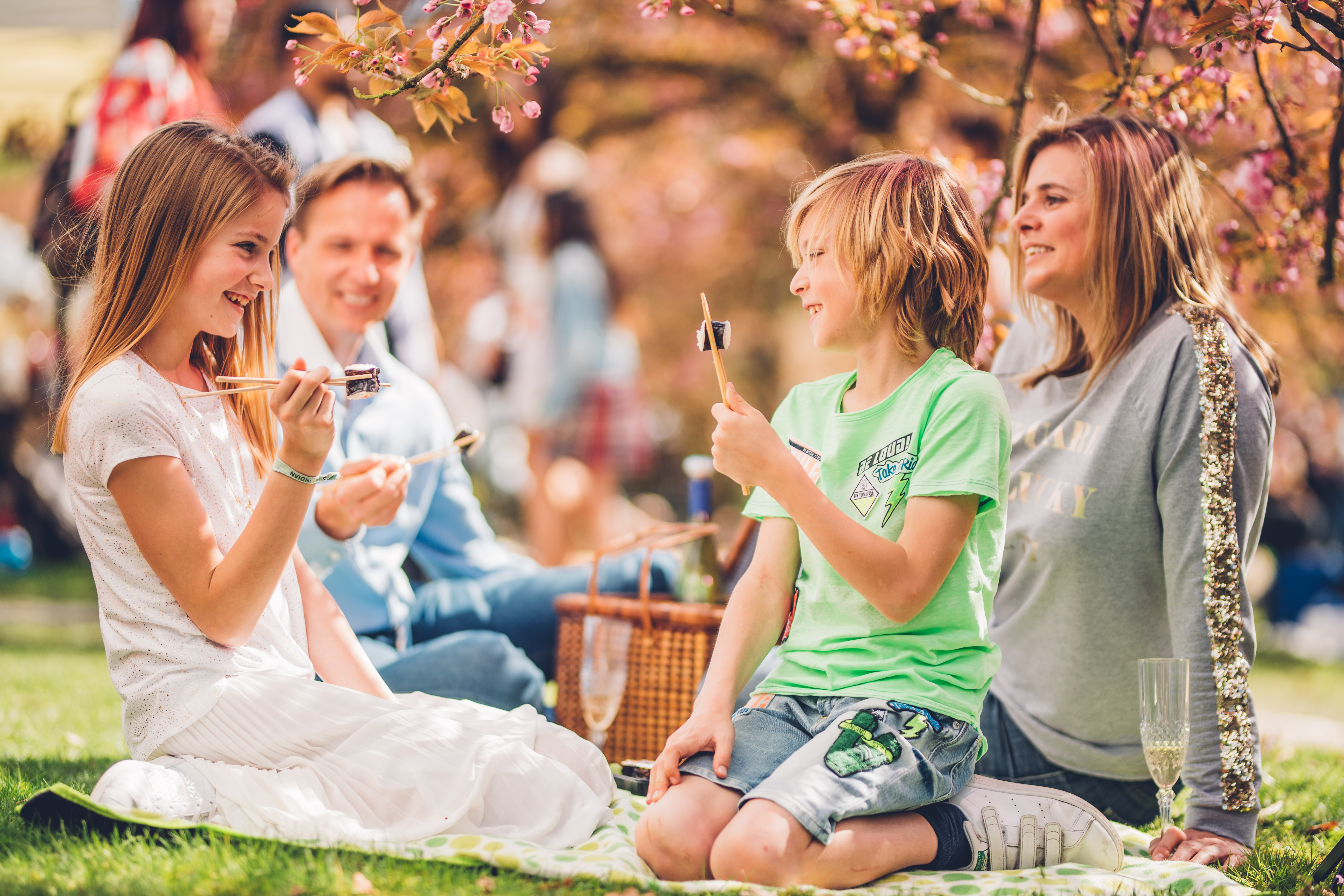 Picknick in de Japanse Tuin