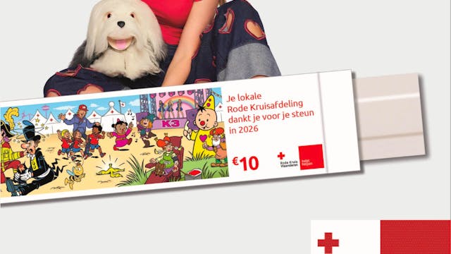 14 daagse Pleisterverkoop