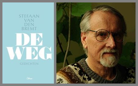 Stefaan van den Bremt - De Weg