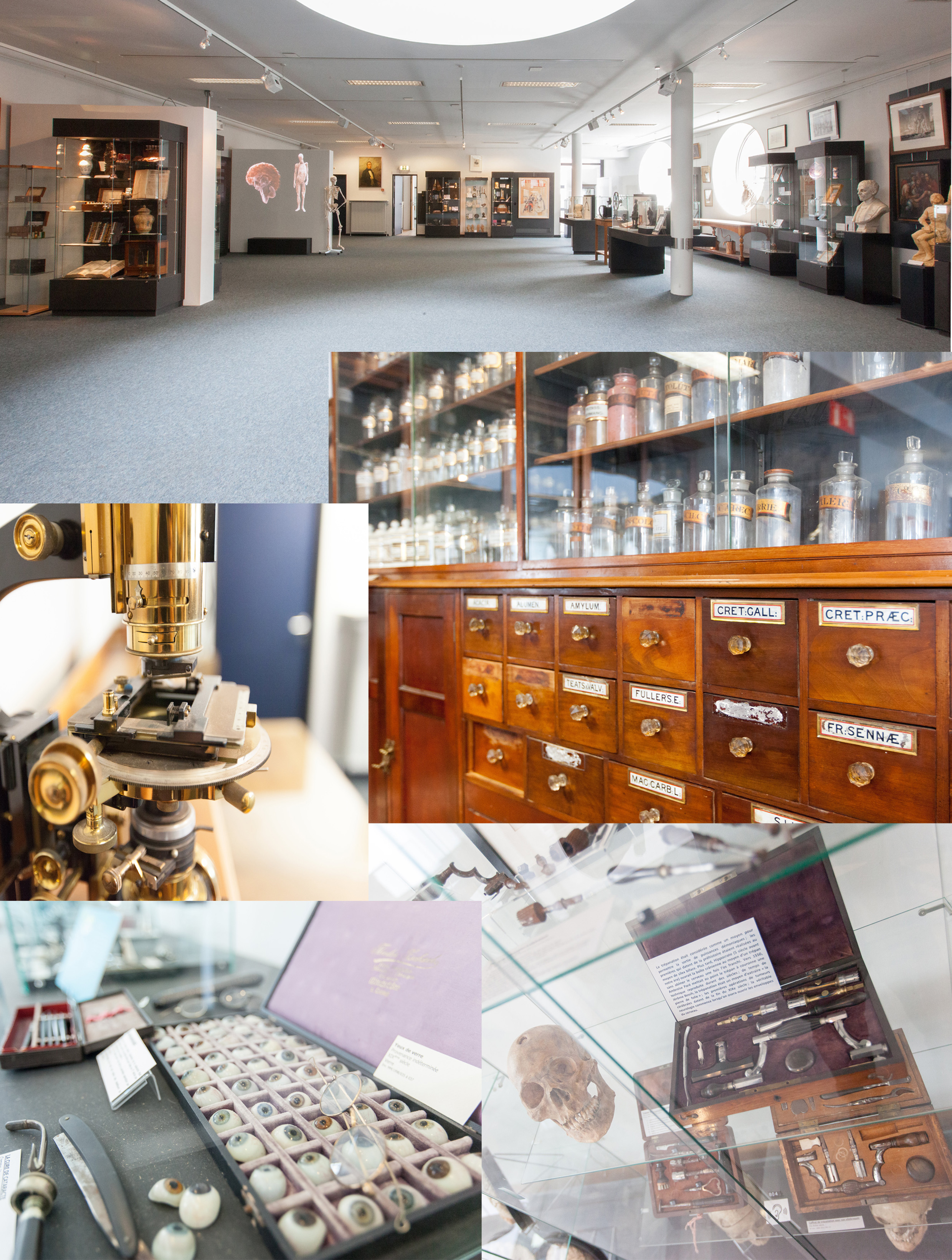 Musée de la Médecine - Geneeskundemuseum