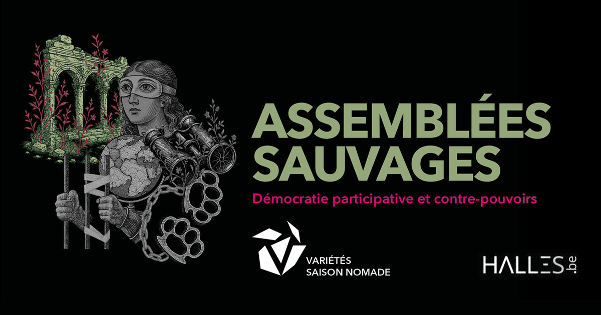 Assemblées Sauvages - Démocratie participative et contre pouvoirs