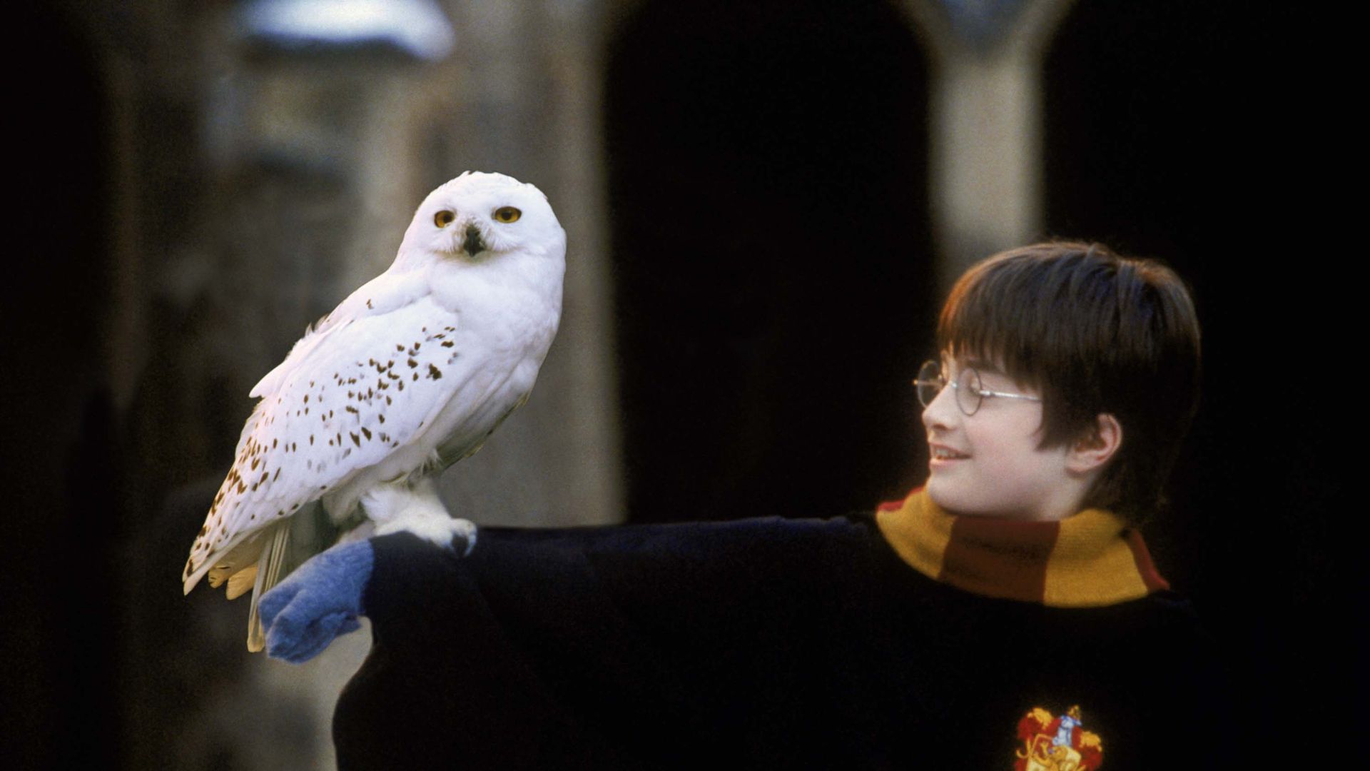 Harry Potter and the Philosopher's Stone