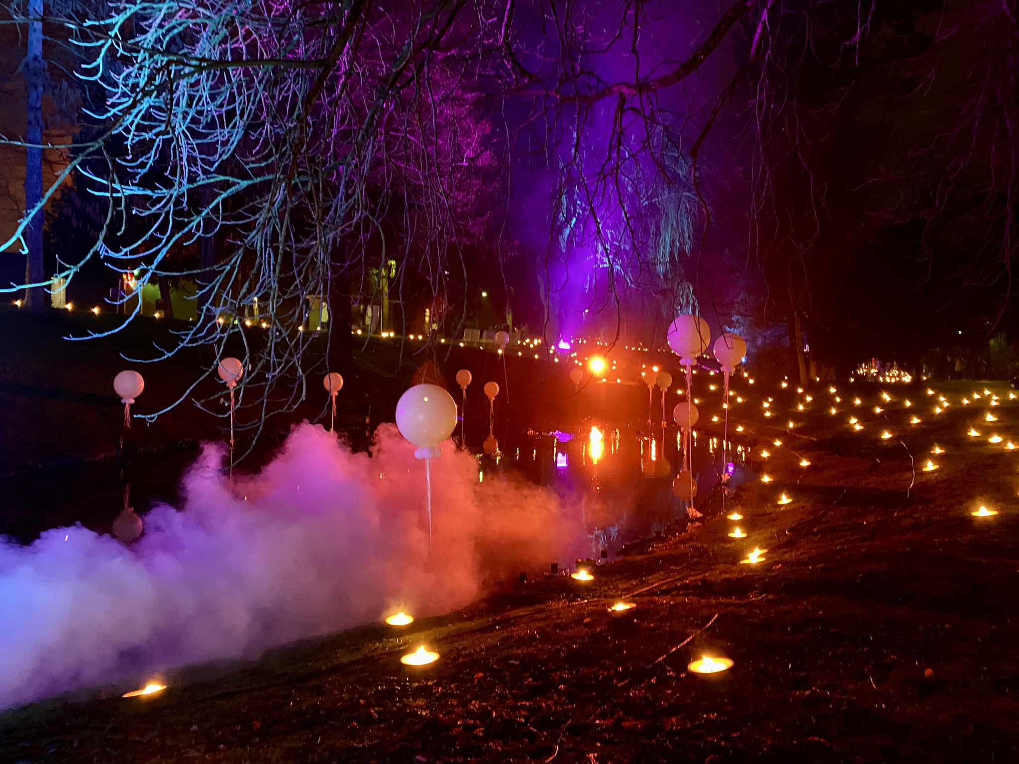 Lichtjes in het park