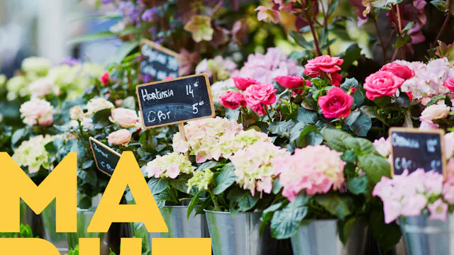 Bloemen- en plantenmarkt