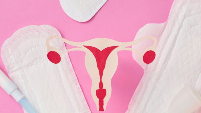 Afbeelding voor evenement De Cyclusshow