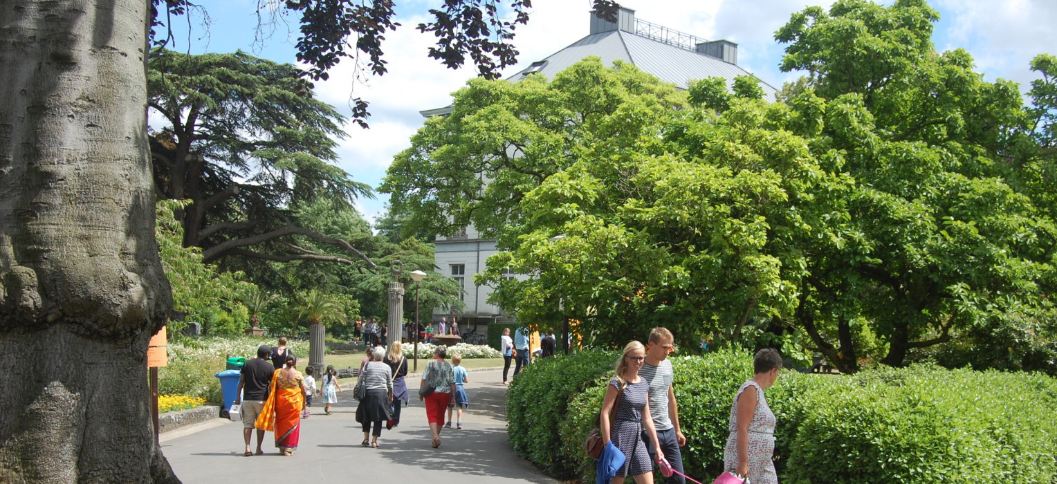 Sfeerbeeld openschooldag