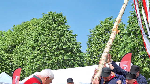 Sfeerbeeld meiboomplanting