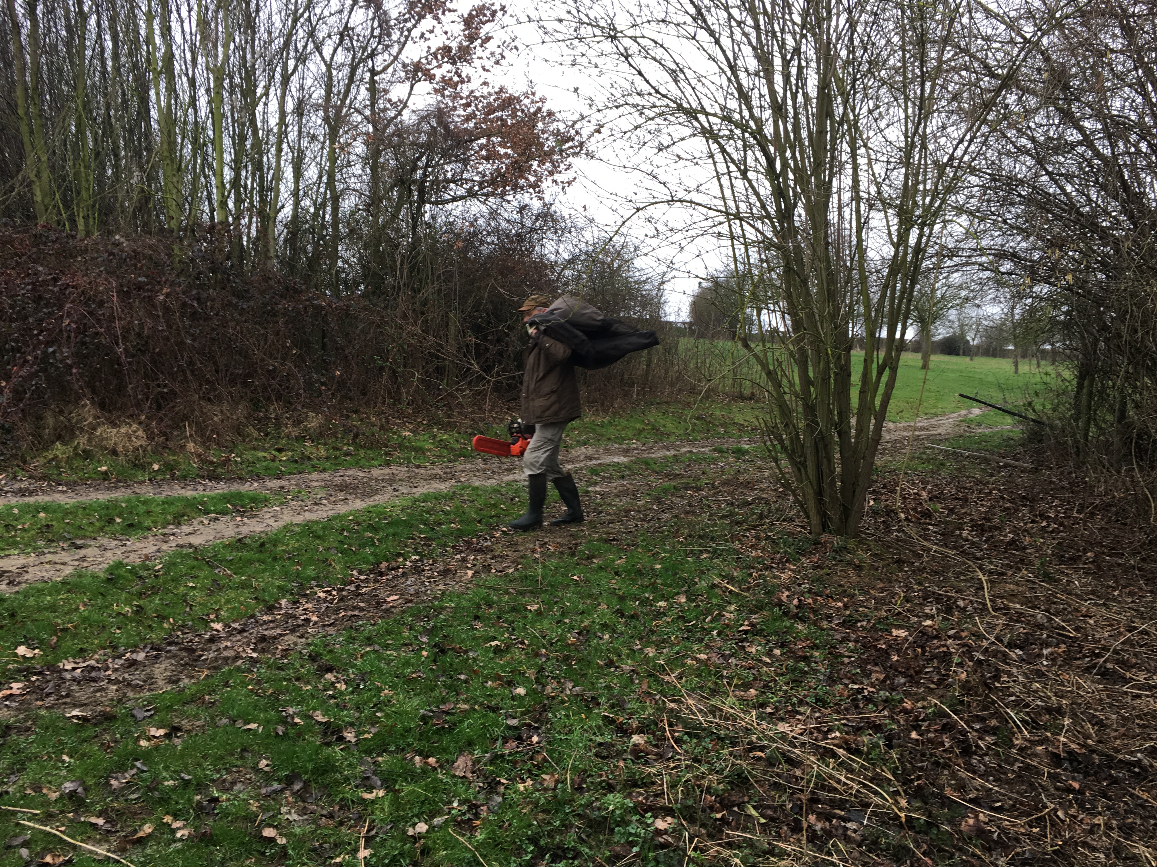 activiteiten De Knoppel