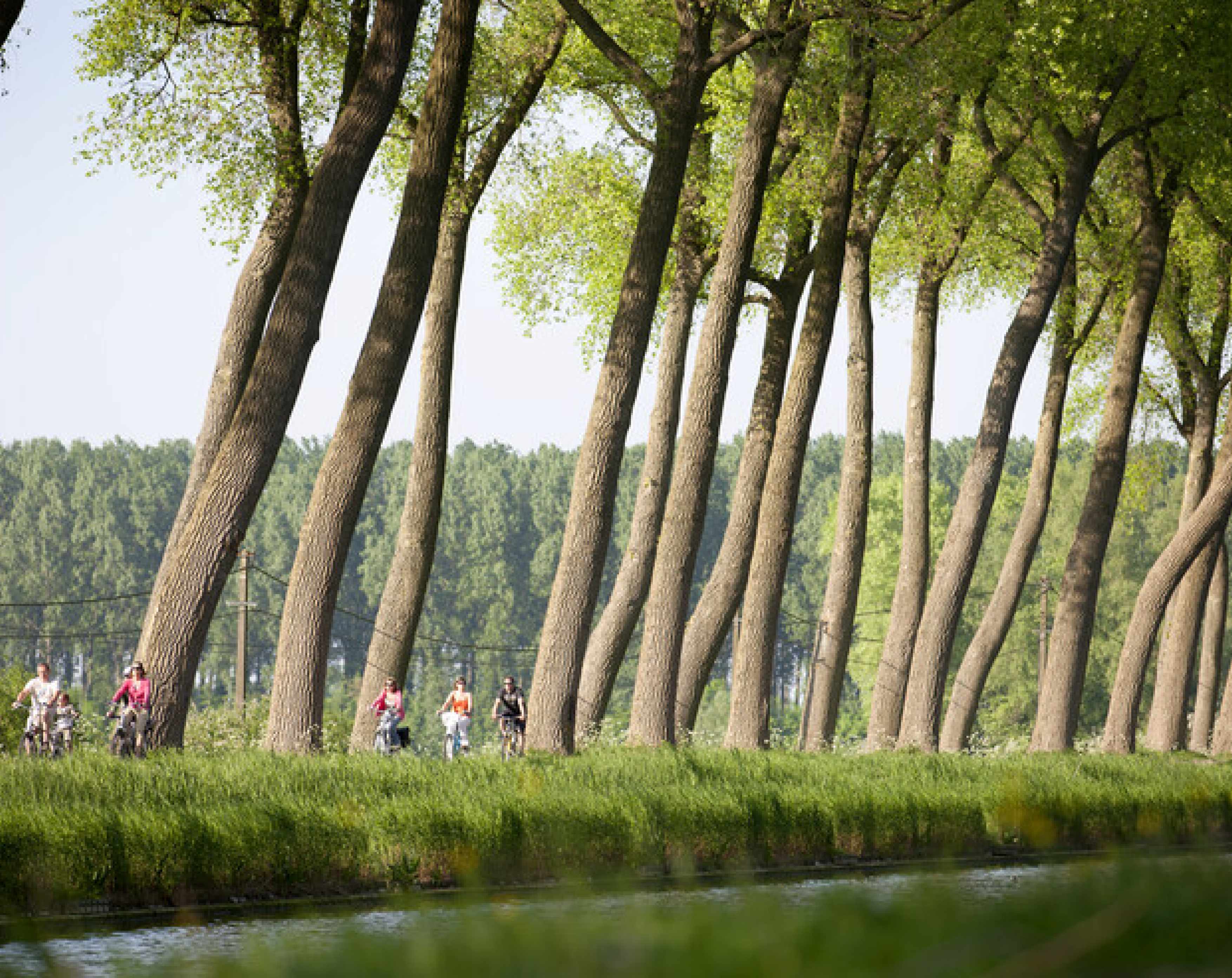 Fietsroute langs Damse hoeve- & streekproducenten