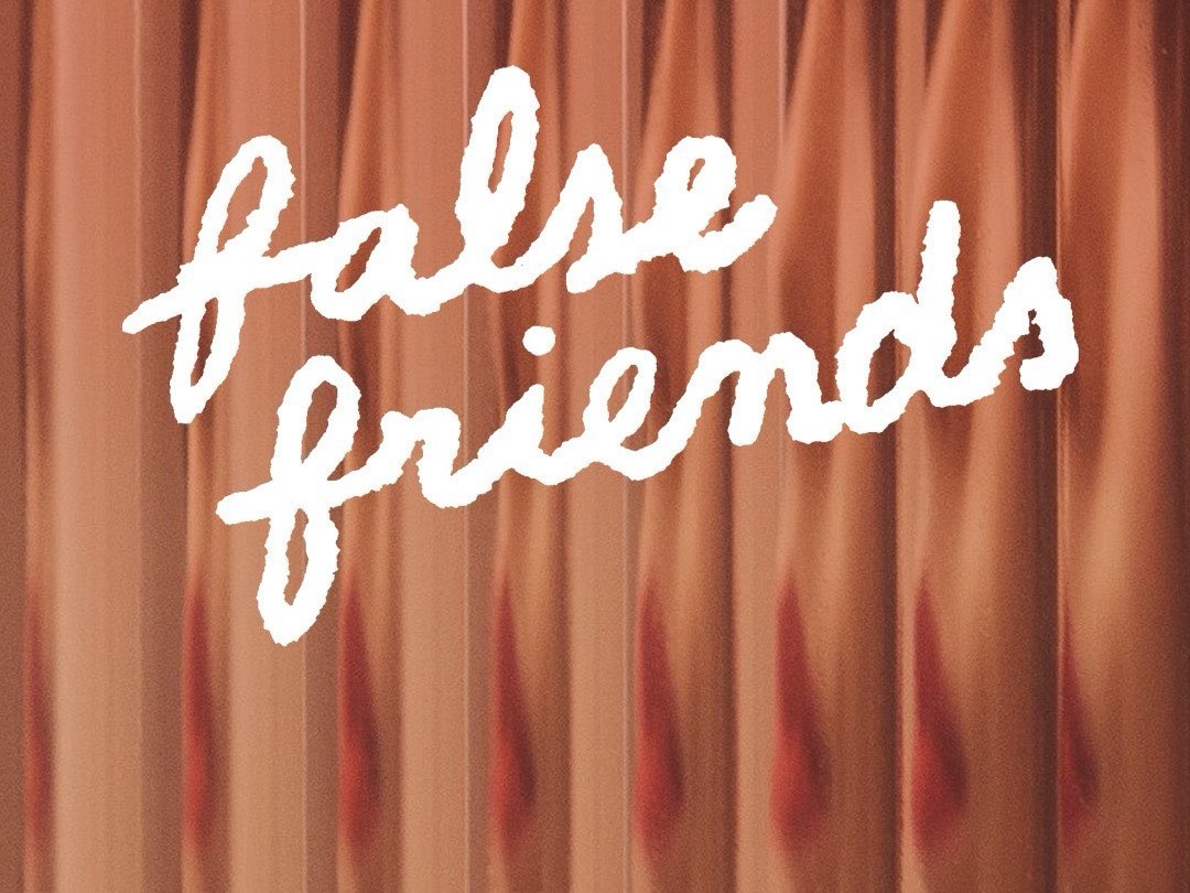 Litterbox's Writing Playground: False Friends
