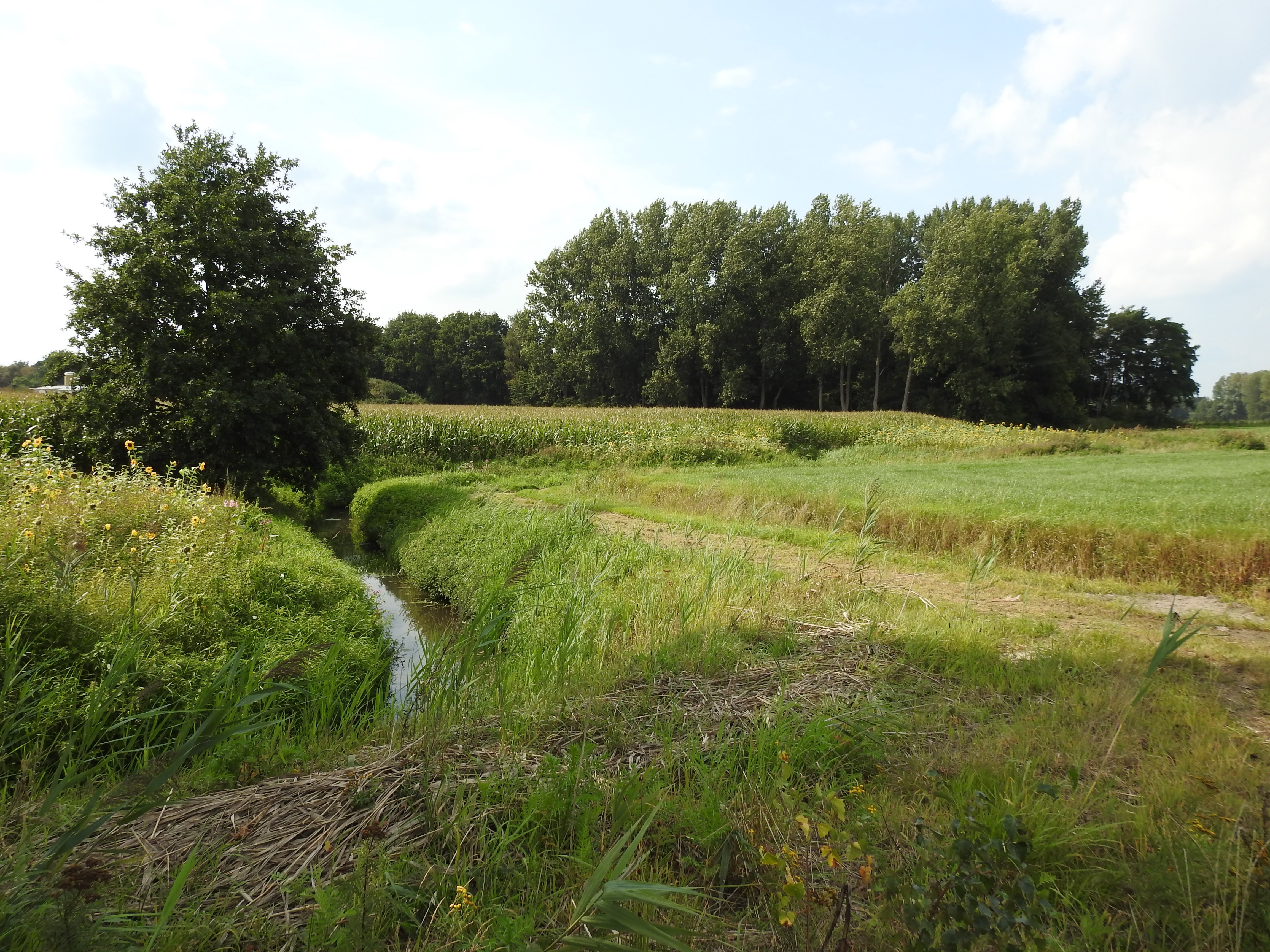stroomgebied van Mark & Merkske