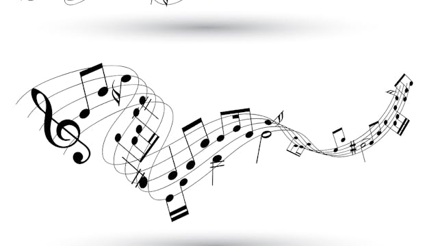 Live muziek van Stefan Luyten