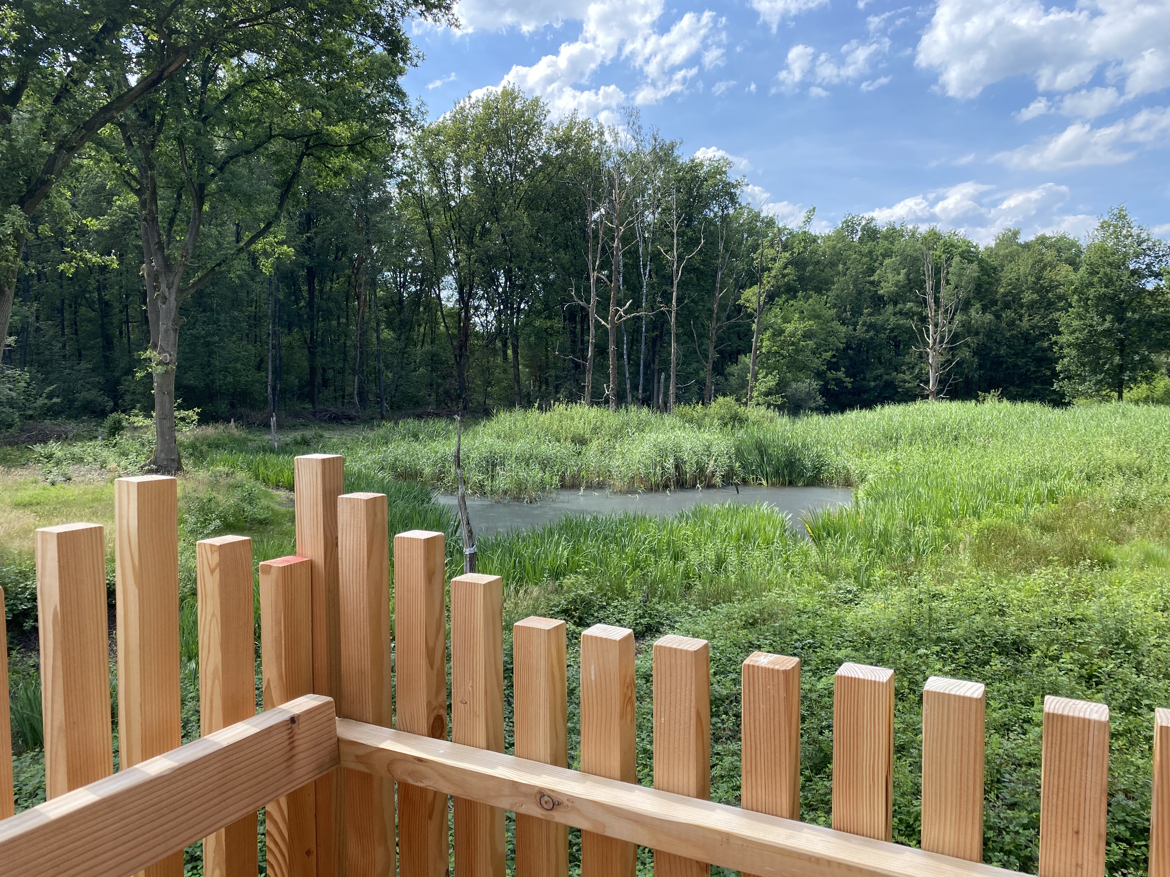 Waterdiertjes spotten tijdens de Week van het Water 2026