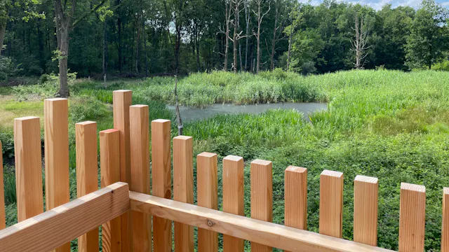 Waterdiertjes spotten tijdens de Week van het Water 2026