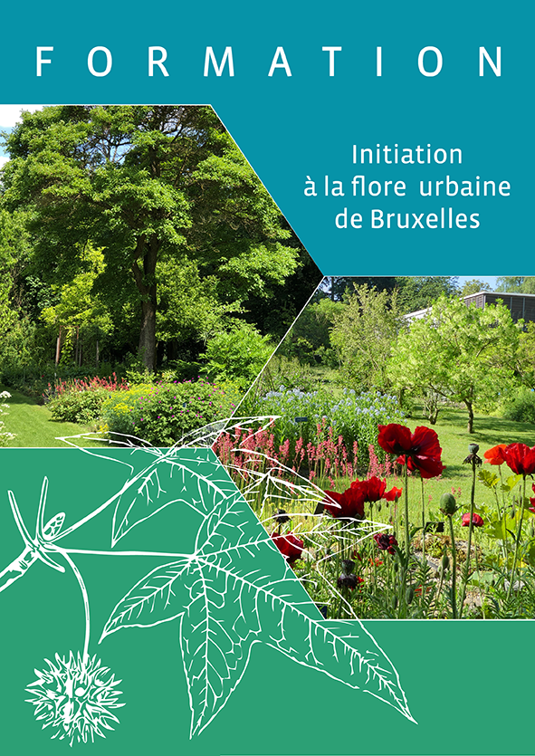 Formation: "Initiation à la flore urbaine de Bruxelles