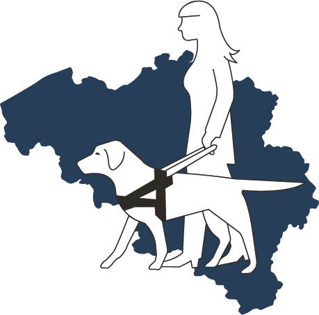 Logo Belgisch Centrum voor Geleidehonden. Het is een donkerblauw getekend logo van de omtrek van België met daarvoor een dame met een geleidehond.