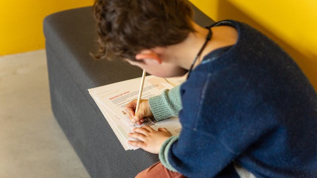 Schatten van Vlieg M Leuven