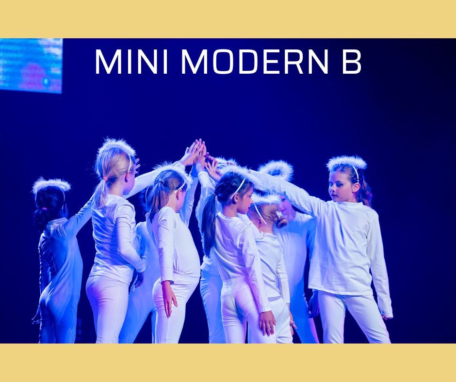Mini Modern B algemeen website.jpg