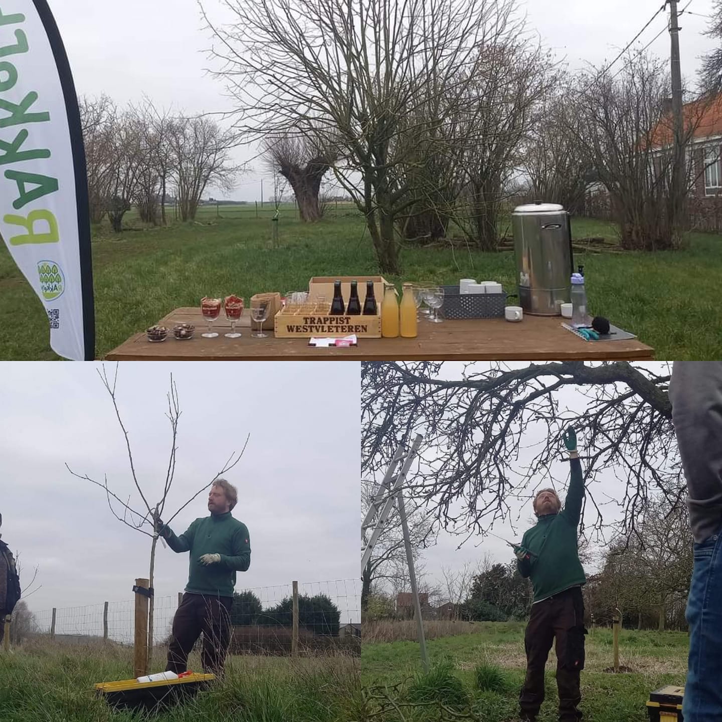 Snoeicursus Rakkerbos