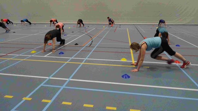 sportdienst Lochristi