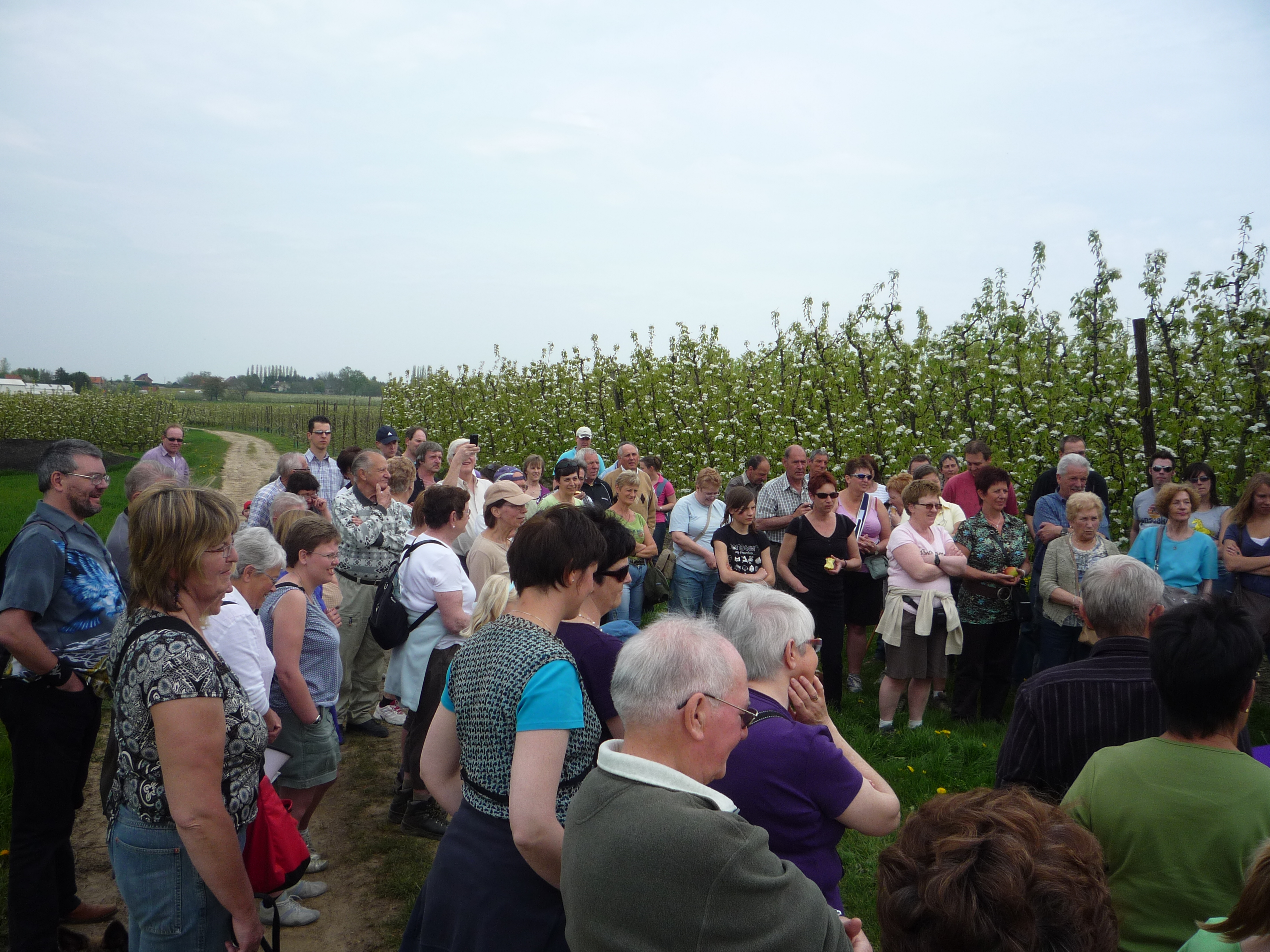 Moppen tussen de bloesems met Jacky lafond