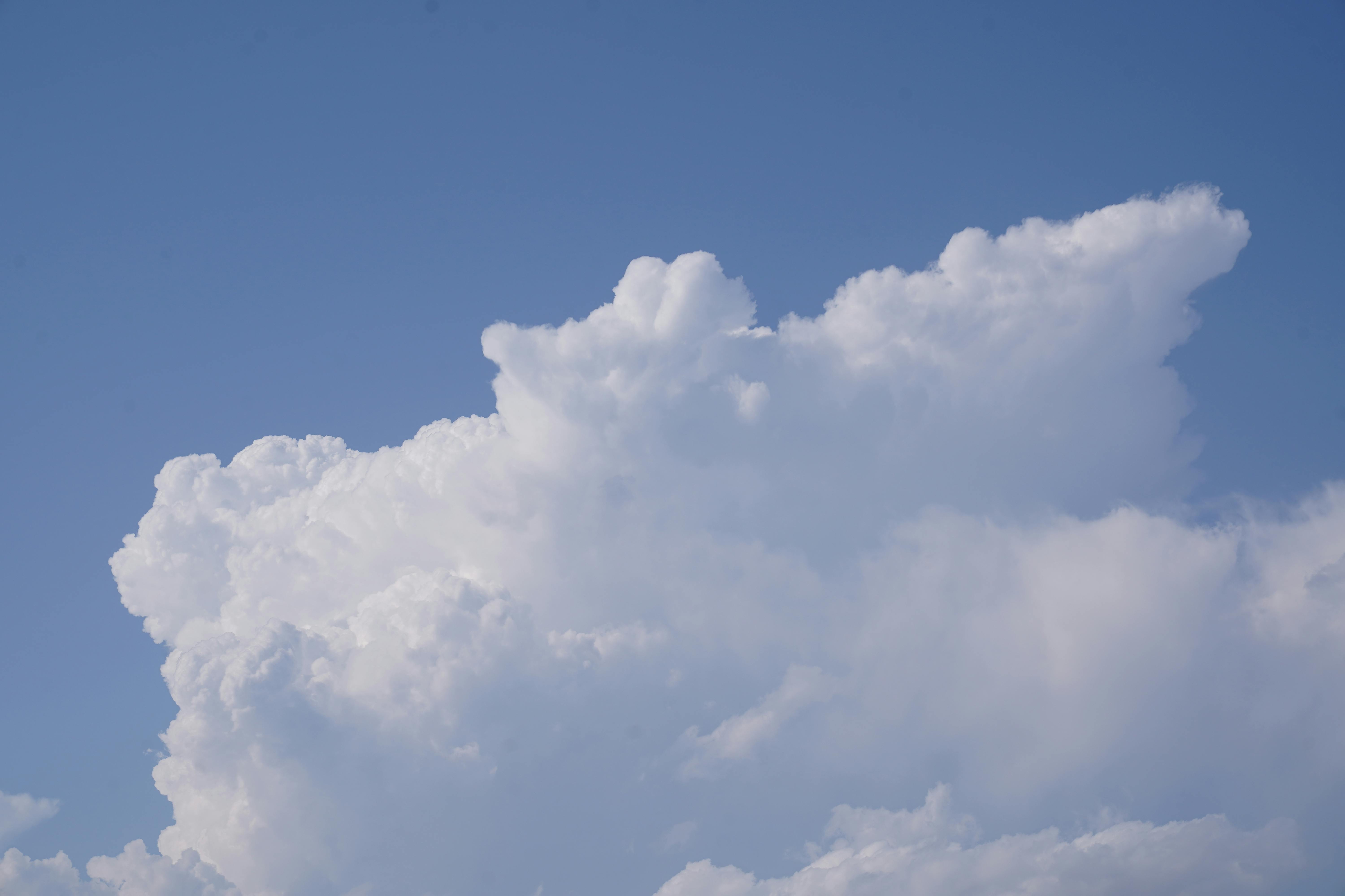 Voordracht Neos Bram Verbruggen "De verstoring van het klimaat"