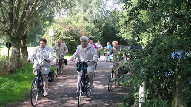 Image for gzbd activity