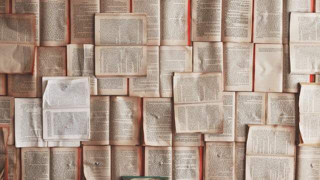 Verhalen vol gevoel - samen lezen, schrijven en verbinden