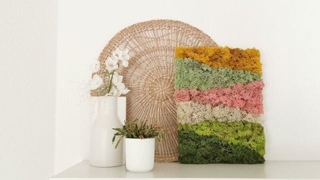 IMG_20230115_101036 (1).jpg