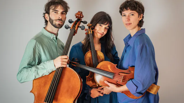 Ensemble Satellite