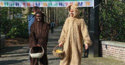 Image for gzbd activity