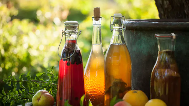 Bubbels uit de natuur: fermenteren met fruit en bloemen