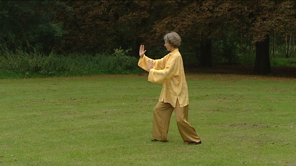 Taichi Inge Van den Eynde