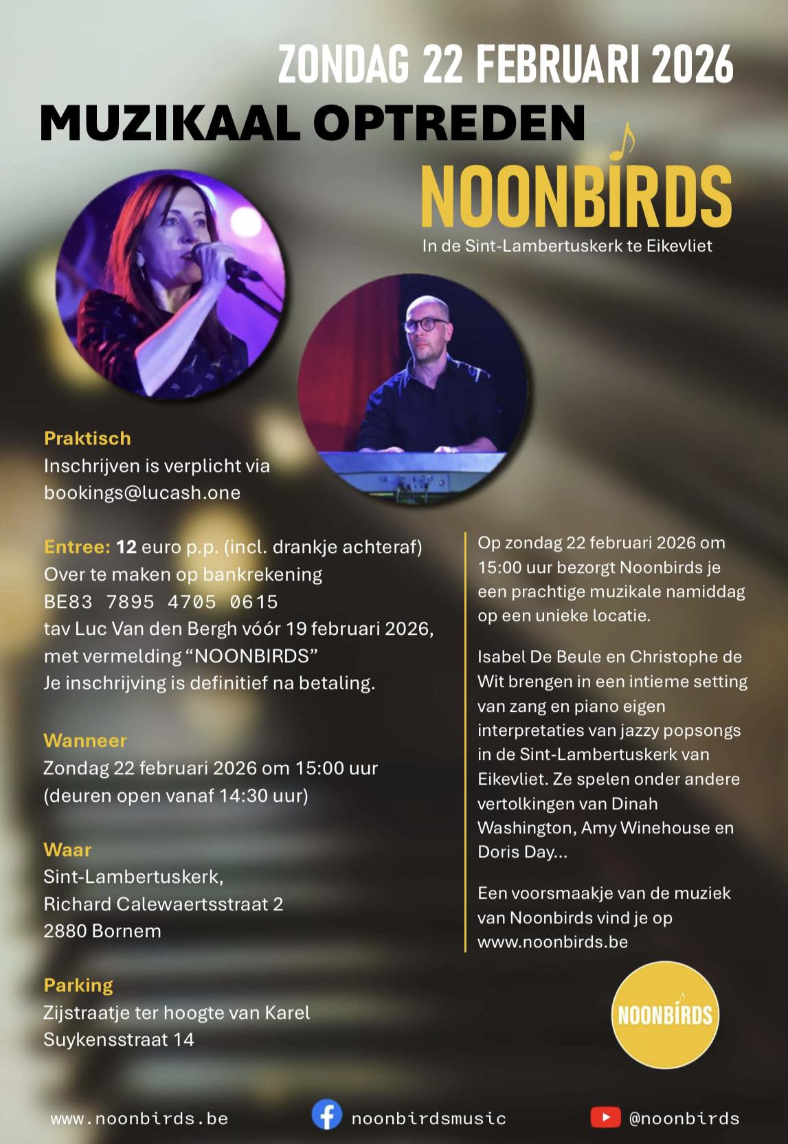 Optreden Noonbirds