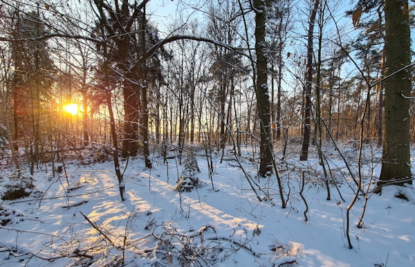 Kruiskensberg in de winter