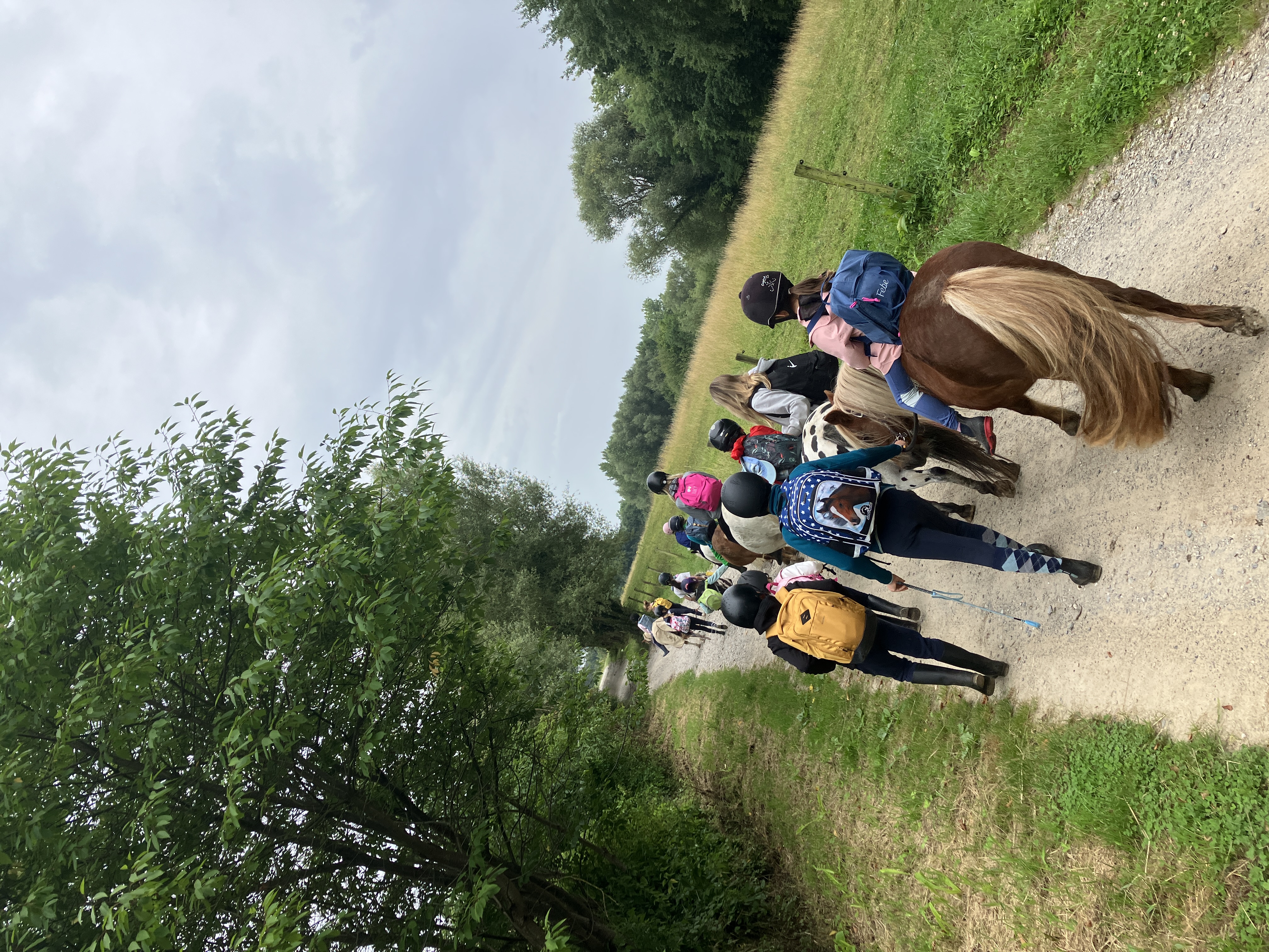 Op stap met de pony's