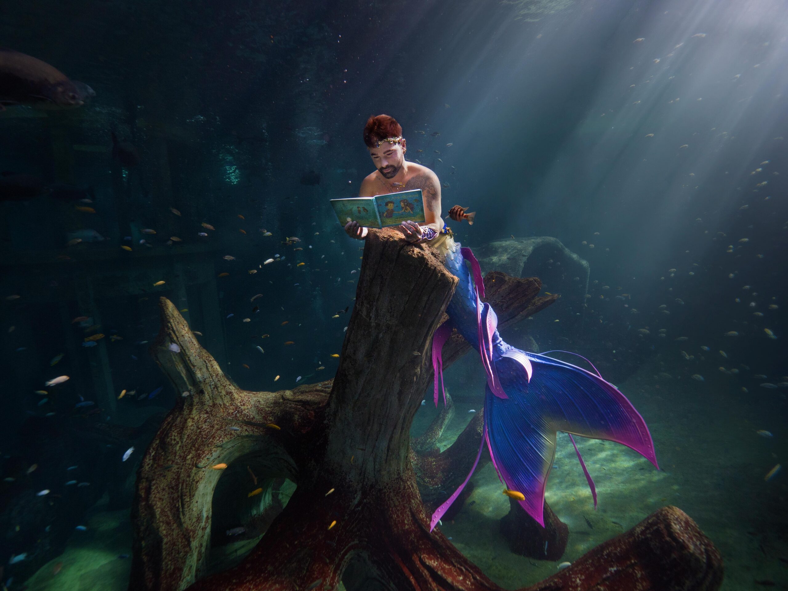 Jim-TheLittleMermaid ©Thomas Van Puymbroeck