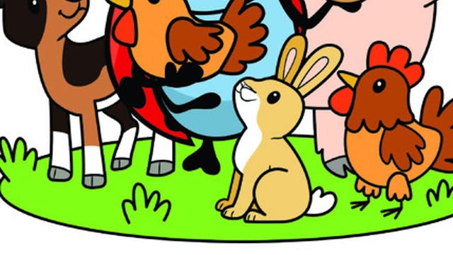 Dierenkamp Oudenaarde (24-28/08/2026)