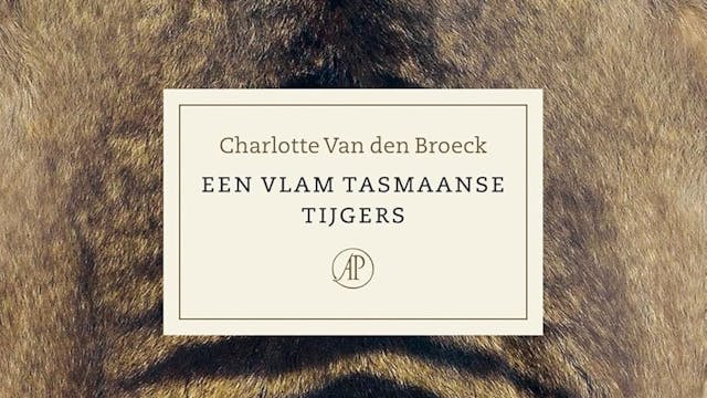 Een vlam Tasmaanse tijgers