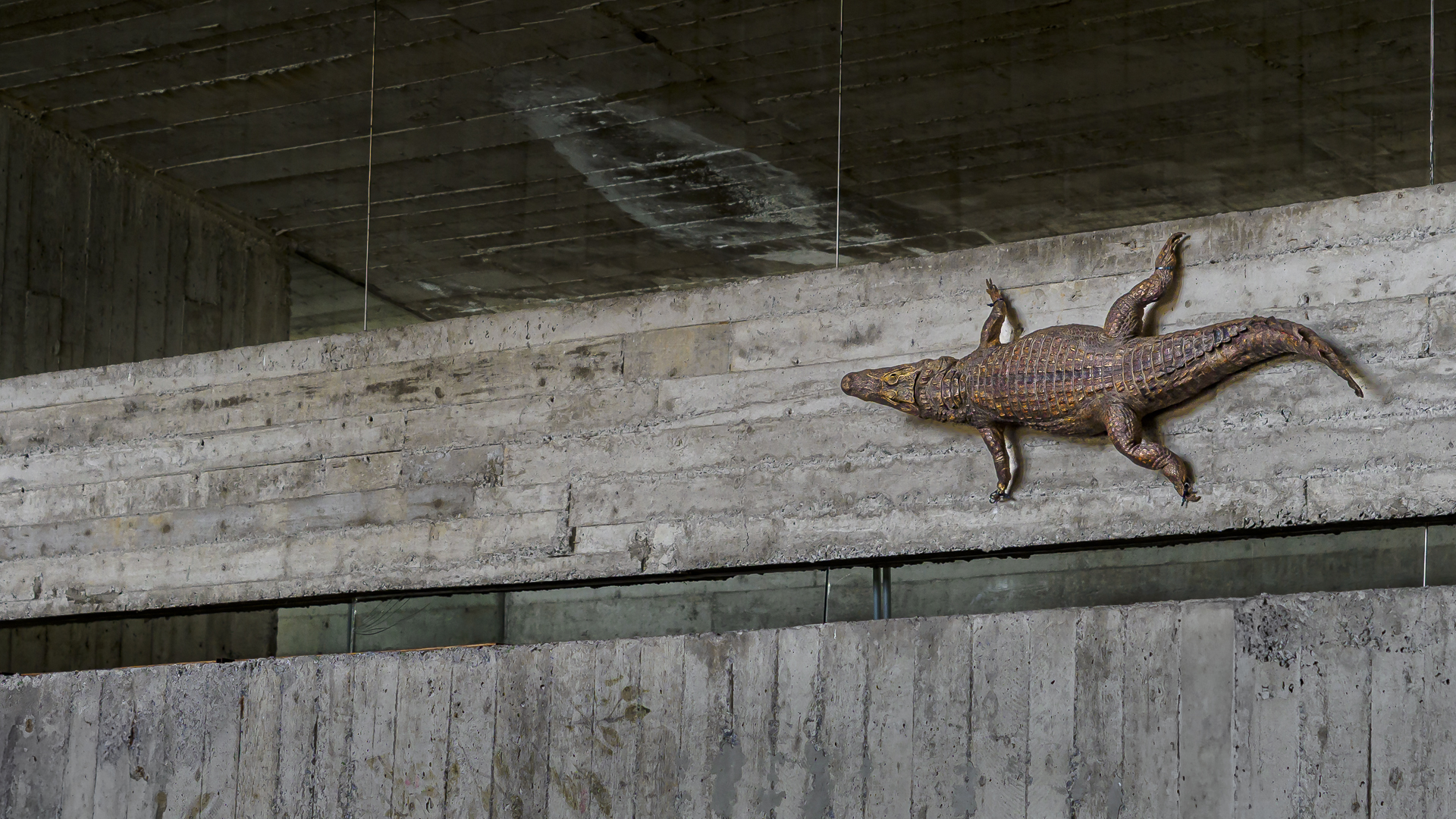 VLB_Volkegem 19 Apr 2025_07_VLB6593 (2).jpg