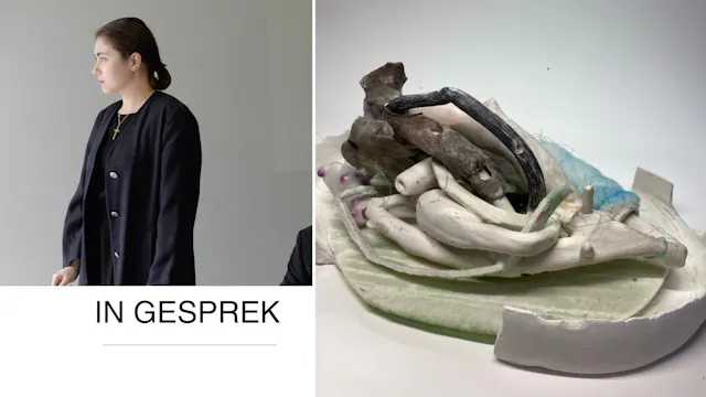 Werk van Eva Maria Bouillon en Sien Godderis