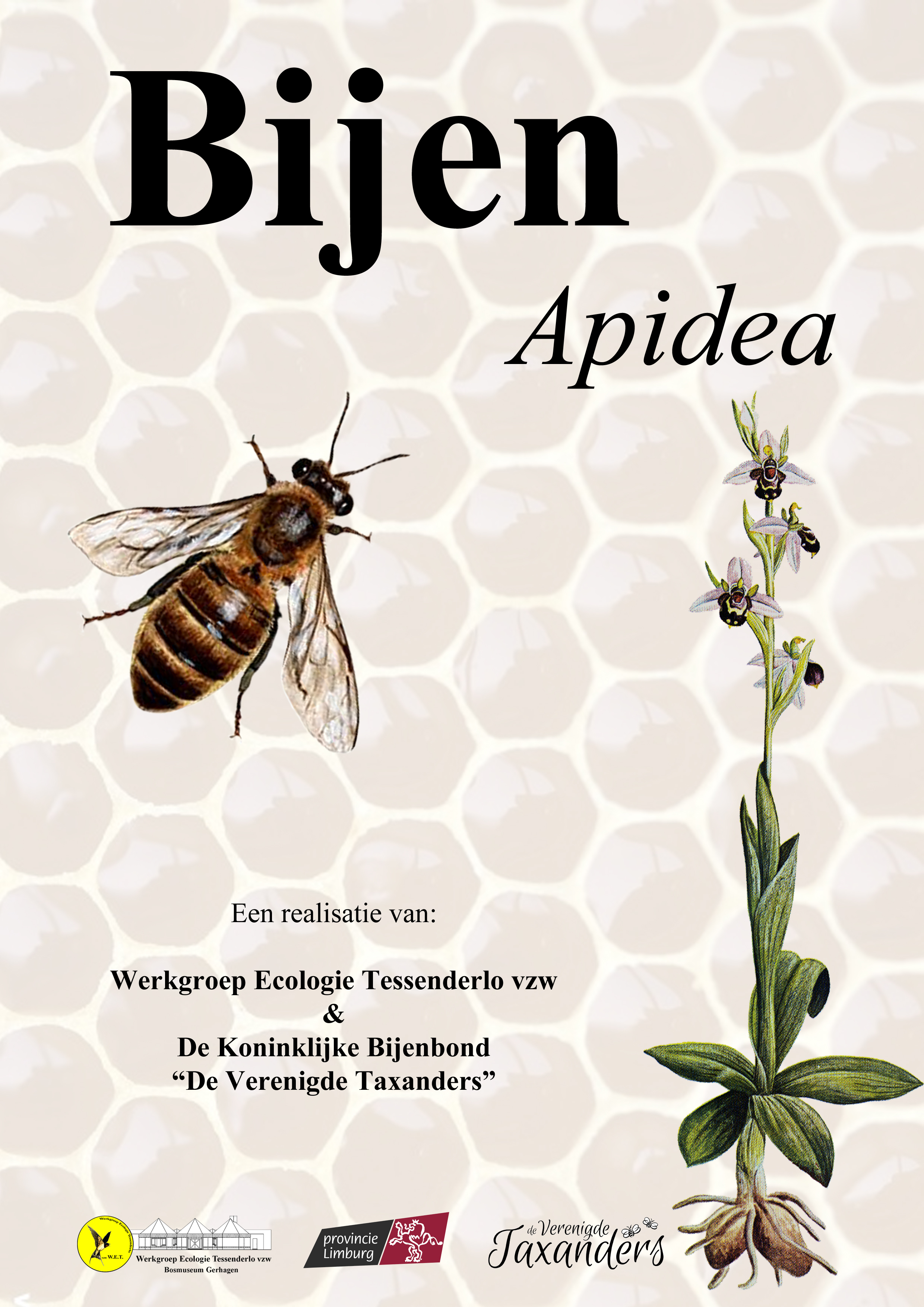 Bijen in het Bosmuseum