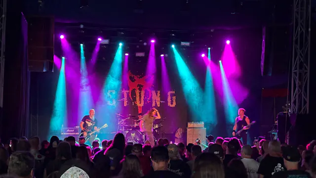 Stung live
